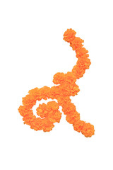 Creative Number Nine Design From the marigold yellow isolated on white background. King Rama IX.