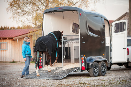 Fototapeta Pferd verladen zum Transport