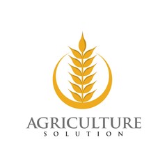 Wheat logo for agriculture industries design template vector 