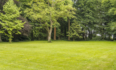 Obraz premium idyllic park scenery