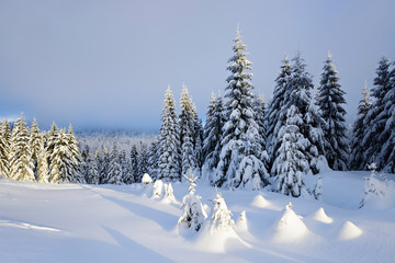 Tief verschneite Winterlandschaft im letzten Licht der Abendsonne