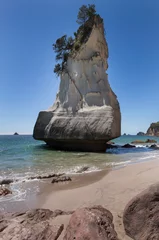 Printed kitchen splashbacks Cathedral Cove Cathedral Cove Coromendal New Zealand