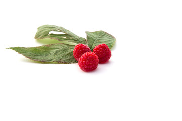 Framboises