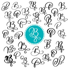 Set of Hand drawn vector calligraphy letter B. Script font. Isolated letters written with ink. Handwritten brush style. Hand lettering for logos packaging design poster. Typographic set on white © timonko