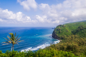 Naklejka na ściany i meble Coast of the island, the ocean in Hawaii