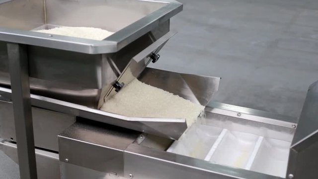 Rice factory. Conveyor for the production and packaging of rice.