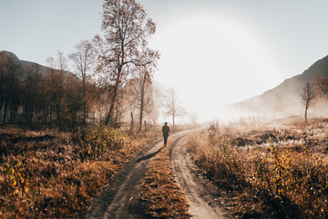 Person walking on road in woods