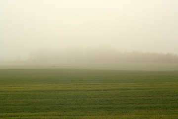 Fog and agriculture field in autumn.
