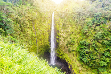 Waterfall in Hawaii