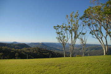Fototapeta na wymiar Green Mountains Section in Lamington National Park, Australia, viewed from Kamarun lookout