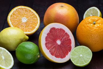 Variation von Zitrusfrüchten Orange, Limette, Mandarine, Grapefruit, Zitrone