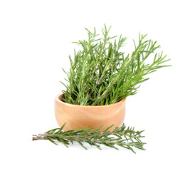 rosemary on white background
