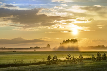 Landschaft in Estland