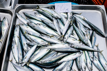 Fototapeta premium Sardines at the fish market in Catania, Sicily