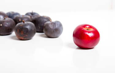 concept of leadership of one over many