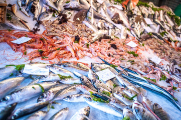 Seafood at the fish market in Catania, Sicily