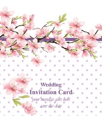 Cherry blossom. Sakura flowers background Vector