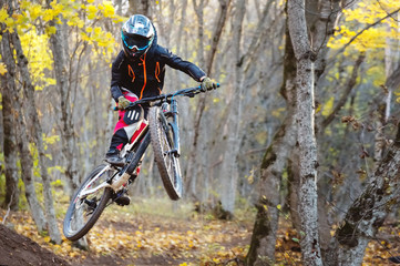 Fototapeta na wymiar a young rider at the wheel of his mountain bike makes a trick in jumping on the springboard of the downhill mountain path in the autumn forest