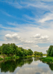 Fototapeta na wymiar Gorgeous summer landscape - Ukrainian river, blue sky, clouds.