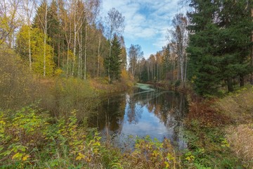 Bright autumn water landscape 