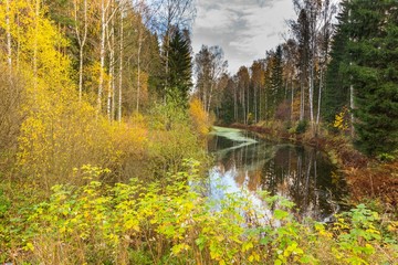 Bright autumn water landscape 