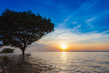 Fototapeta na wymiar Sunset with tree reflection in a lake.