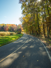 Obraz premium Road in the fall