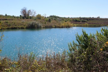 The sparkling lake in the park on a sunny day.