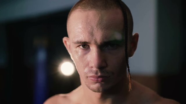 Portrait of hairless with tattoos, free fighter in gym. 4K