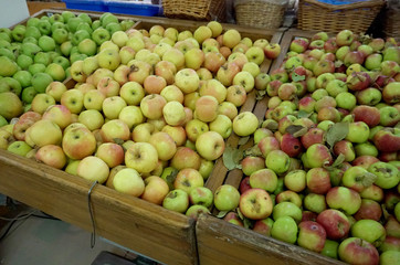 apple red green on the shelf in the store