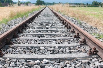 Fototapeta premium rail tracks perspective