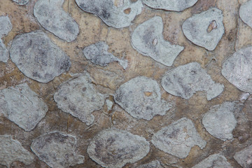 Background of stone wall texture .