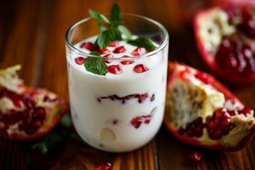 sweet homemade yogurt with pomegranate