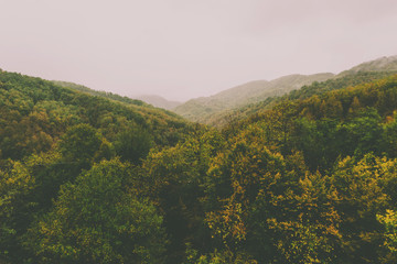 Naklejka premium View of foggy mountains with trees