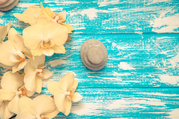 Yellow Orchid with stones on blue background 