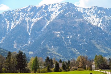 Fototapeta na wymiar The Alps with a Pasture