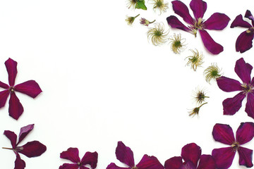 Frame of flowers. Purple clematis flowers. Flat lay, top view