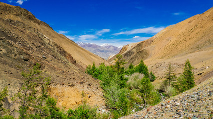 Kyzyl-Chin Valley (other name is Mars), is a picturesque desert terrain in the Altai Mountains, Russia. It is formed with multi-colored clays, composing the fantastic Martian lanscape.