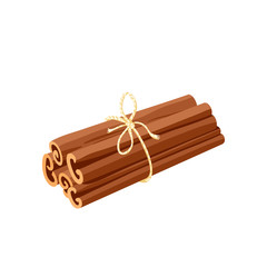 Spice for health. Heap of cinnamon sticks. Vector illustration cartoon flat icon isolated on white.