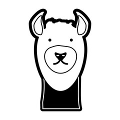flat line  monchromatic  llama face  over  white background  vector illustration