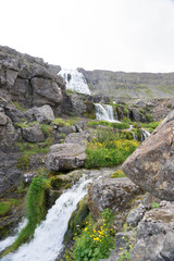 Landschaft rund um den Dynjandi-Wasserfall in den Westfjorden, Island