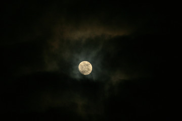 Moon / Moon cloudy night © pattamod