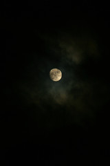 Moon / Moon cloudy night © pattamod