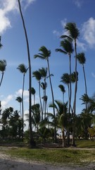 Fototapeta premium Beautiful and unique landscape of Dominican Republic