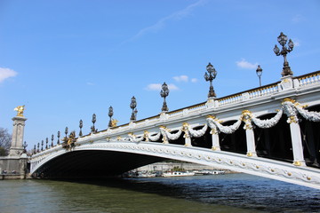 Alexandre Bridge in PARIS