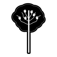 flat line monochromatic  tree over white background  vector illustration