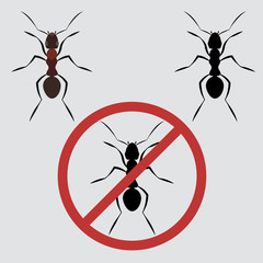 Vector set of icons ants