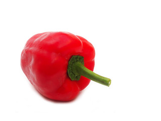 Red bell peper on white background