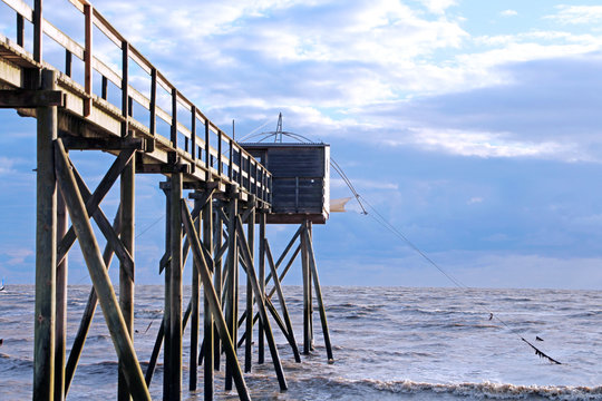 Fishery