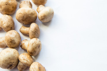 Fresh white mushrooms champignon